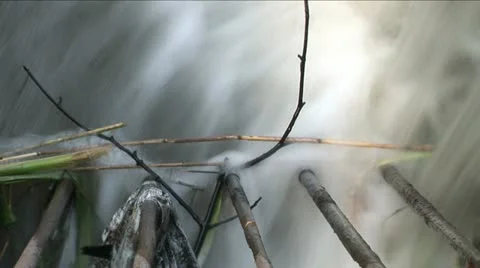 Close up of water rushing through bars Video stock 11287734