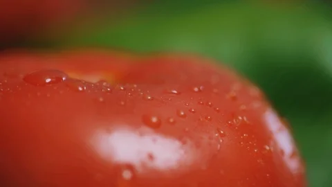 Close up water splash on tomato shooting red vegetable diet healthy vegetarian Stock Footage 100303052