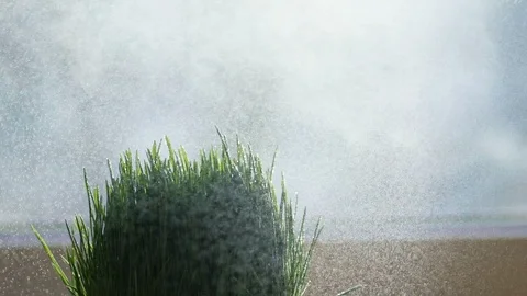 Close-up. Water splashes fall on the grass. Drops of water on the grass. slow Stockbeeldmateriaal 90676939