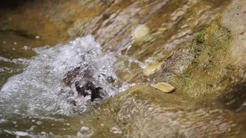 Close Up Of Water Spouting From Mossy Rock Into Pool Stock Footage 310229148