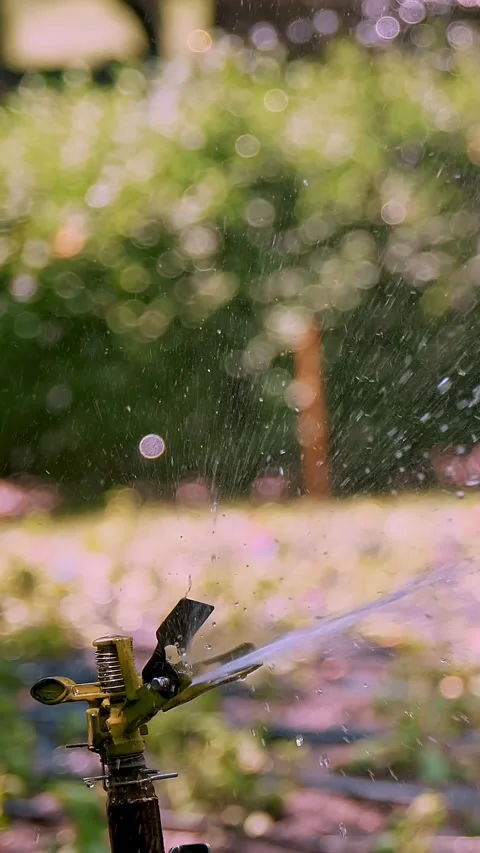 Close-up. water sprayer. irrigation system in the park area. watering plants in Stock Footage 320346040