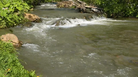 Close up of water stream. Mountain river water Stock-Footage 108893396