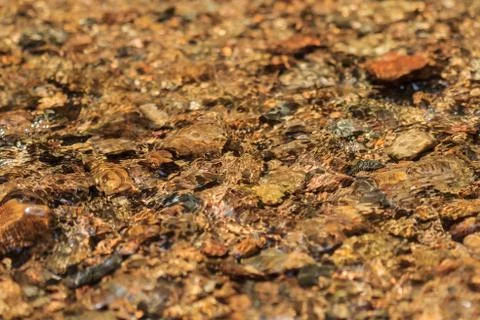 Close up of water in the stream Stock Photos