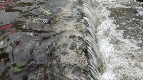 Close Up water stream into sewer after heavy rain Stock Footage 130512987