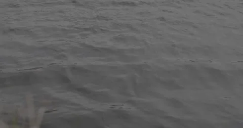 Close up of water stream, some grass bottom left of video, VLOG, 24fps, 4k Stock Footage 277231587