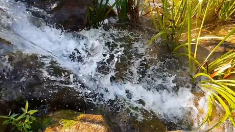 Close up of water stream with white and transparent bubbles. Slow motion. 動画素材 109548030