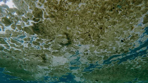 Close-up of water surface covered with fatty layer and small plastic debris in Video stock 336567974