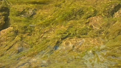 Close-up of a water surface 스톡 동영상 80526670