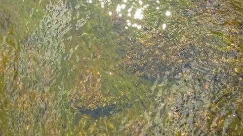 Close-up of a water surface 스톡 동영상 80527805