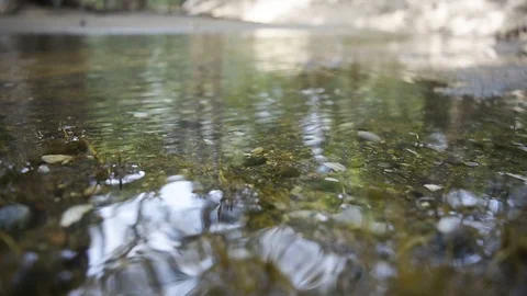 Close up of water surface Stock Footage 95430216