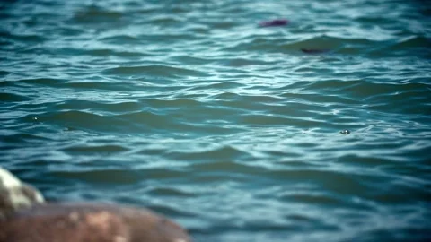Close-up of water surface, lake surface, water waves, waves, shore Stock Footage 257170580