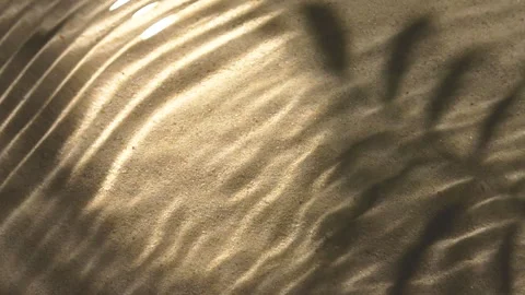 Close-up water surface ripples and splash, palm tree leaf shadow on sand texture Video stock 249863702