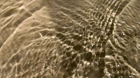 Close-up water surface ripples and splash, palm tree leaf shadow on sand texture Stockbeeldmateriaal 250148586