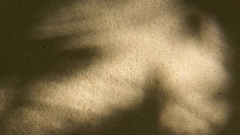 Close-up water surface ripples and splash, palm tree leaf shadow on sand texture Stockbeeldmateriaal 250378403