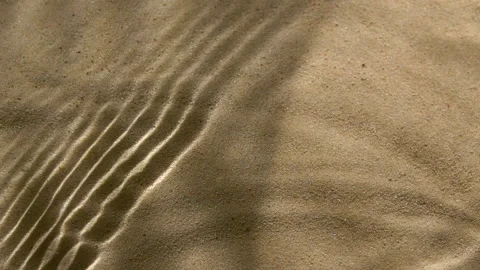 Close-up water surface ripples and splash, palm tree leaf shadow on sand texture Stockbeeldmateriaal 250741224