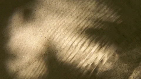 Close-up water surface ripples and splash, palm tree leaf shadow on sand texture Video stock 251938037