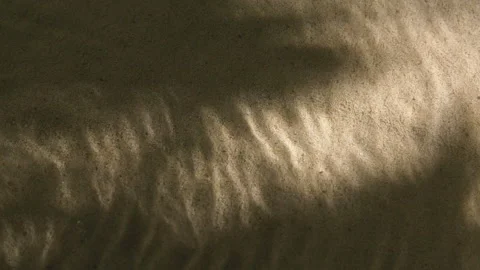 Close-up water surface ripples and splash, palm tree leaf shadow on sand texture Stockbeeldmateriaal 252055813