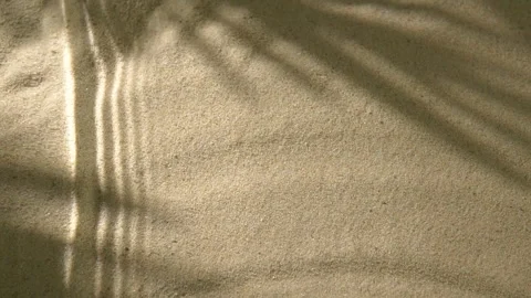 Close-up water surface ripples and splash, palm tree leaf shadow on sand texture 動画素材 254141949