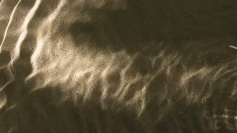 Close-up water surface ripples and splash, palm tree leaf shadow on sand texture Stockbeeldmateriaal 254386878