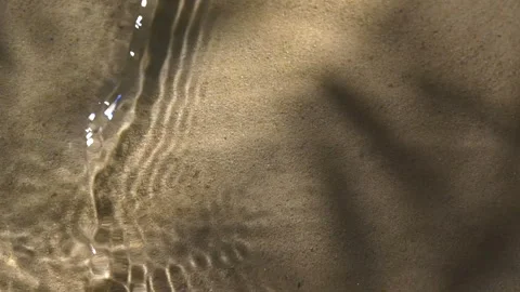 Close-up water surface ripples and splash, palm tree leaf shadow on sand texture Vídeo Stock 255871476