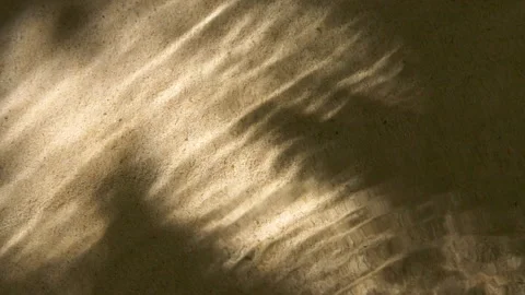 Close-up water surface ripples and splash, palm tree leaf shadow on sand texture Stockbeeldmateriaal 256390813