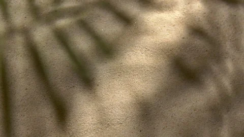 Close-up water surface ripples and splash, palm tree leaf shadow on sand texture Stock Footage 319001923