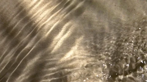 Close-up water surface ripples and splash, palm tree leaf shadow on sand texture Stock Footage 319624656