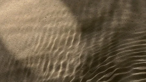 Close-up water surface ripples and splash, palm tree leaf shadow on sand texture Stock Footage 320219685