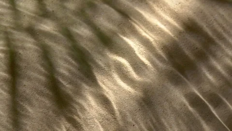 Close-up water surface ripples and splash, palm tree leaf shadow on sand texture Stock Footage 320593290