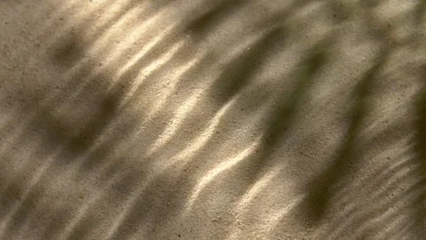 Close-up water surface ripples and splash, palm tree leaf shadow on sand texture Stock Footage 321855416