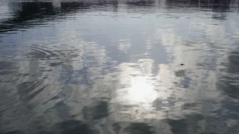 Close-up of the water surface of the river at dusk. Stock Footage 167298685