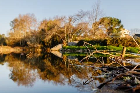 Close Up Water Surface with Tree Reflection Blur 스톡 사진