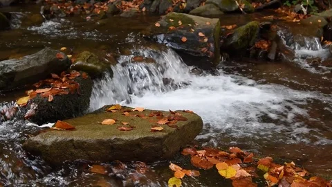 Close-up of a waterfall in a autumn forest Stock Footage 118191383