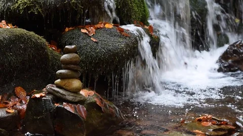 Close-up of a waterfall in a autumn forest Stock Footage 118191386