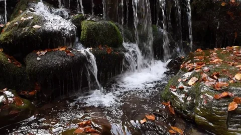 Close-up of a waterfall in a autumn forest Stock Footage 118191448