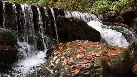 Close-up of a waterfall in a autumn forest Stock Footage 118191529