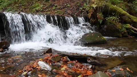 Close-up of a waterfall in a autumn forest Stock Footage 118191635