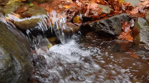 Close-up of a waterfall in a autumn forest Stock Footage 118191662