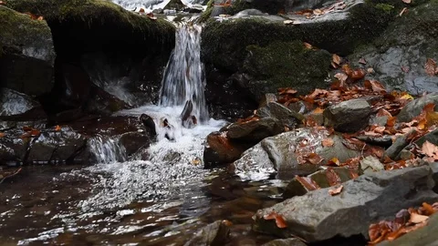 Close-up of a waterfall in a autumn forest Stock Footage 118191755