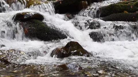 Close-up of a waterfall in a autumn forest Stock Footage 118191765