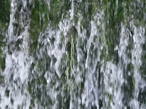 Close-up waterfall background Stock Footage 78676260