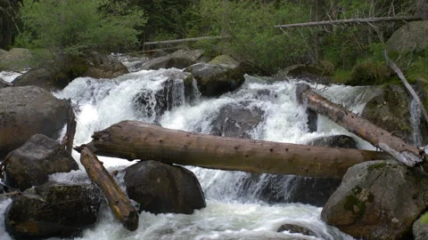 Close up waterfall with dead trees and logs in rocky mountain national park Stock Footage 135458991