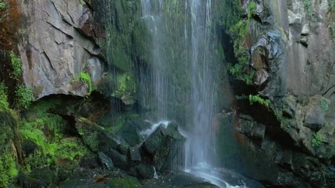 Close Up Of Waterfall Flowing Down On A Mossy And Rocky Cliffs. Stock Footage 250524864