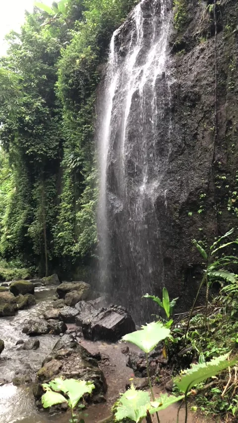 Close up waterfall flowing over mossy rocks tropical forest texture Stock Footage 332227622