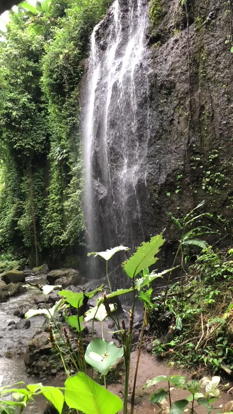 Close up waterfall flowing over mossy rocks tropical forest texture Stock Footage 332227654