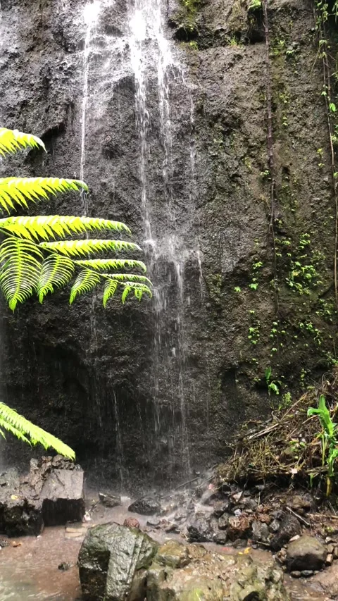 Close up waterfall flowing over mossy rocks tropical forest texture Stock Footage 332227668