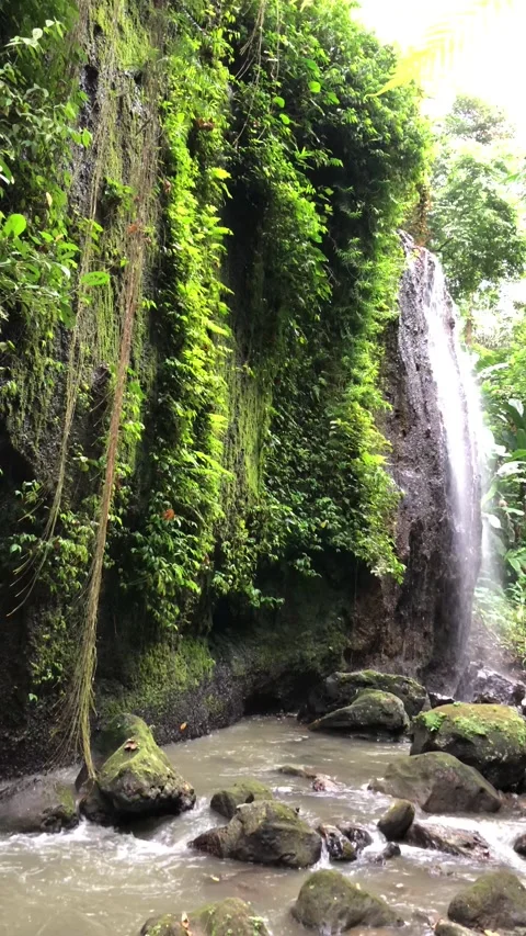 Close up waterfall flowing over mossy rocks tropical forest texture Stock Footage 332227713
