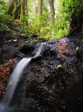 Close-up of waterfall flowing from a spring in forest Stock Photos