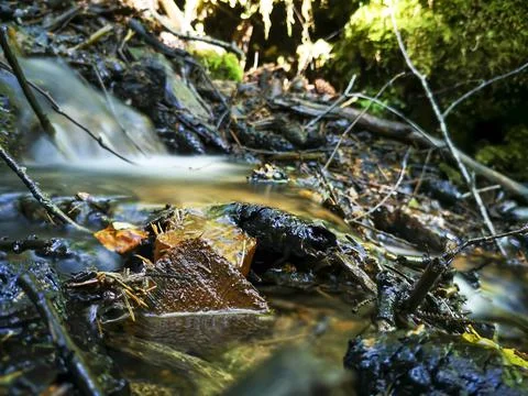 Close-up of waterfall flowing from a spring in forest Stock Photos