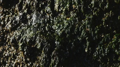 Close up of waterfall Stock Footage 85403706